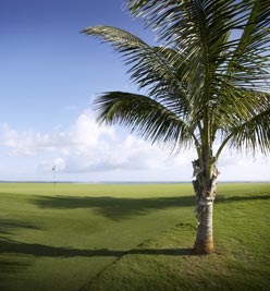 Royal St. Kitts Beach Resort